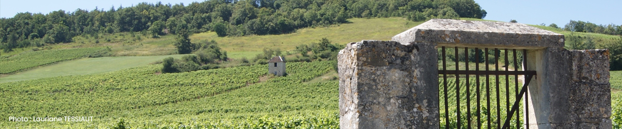 Bannière Ville de Givry