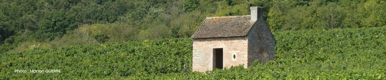 Bannière Ville de Givry