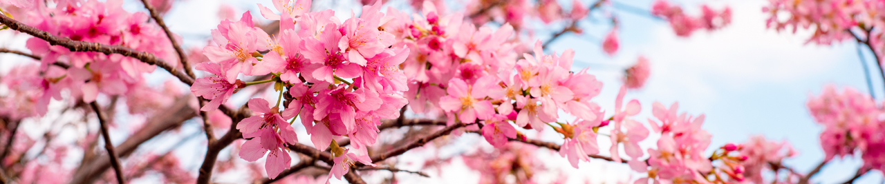 Bannière Ville de Givry