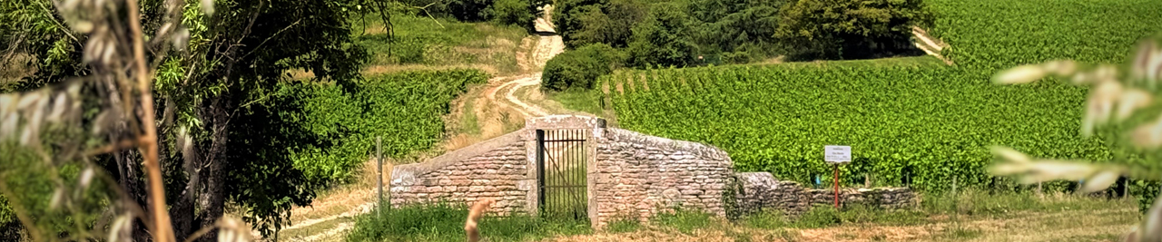 Bannière Ville de Givry
